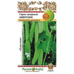 Семена Горох, Амброзия, 10 г, цветная упаковка, Русский огород