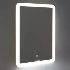 Зеркало для ванной Omega Glass Лионель SD90 с подсветкой 40x55 см прямоугольное