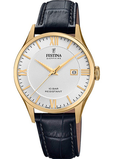 fashion наручные мужские часы Festina F20010.2. Коллекция Swiss Made