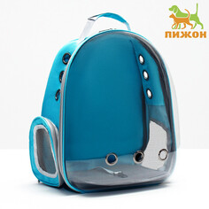 Рюкзак для переноски животных прозрачный, 31 х 28 х 42 см, голубой Пижон
