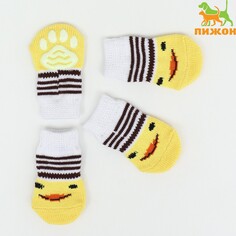 Носки нескользящие, размер l (3,5/5 * 9 см), набор 4 шт, цыпленок Пижон