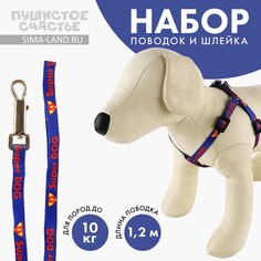 Комплект super dog, шлейка 26-39 см, поводок 120х1 см Пушистое счастье