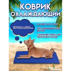 Коврик охлаждающий (гель+губка), 40 х 30 см, синий Пижон