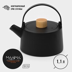 Чайник чугунный с эмалированным покрытием внутри magma Магма