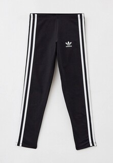 Леггинсы adidas Originals 