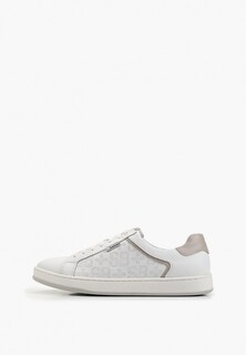 Кеды Vittorio Bravo 