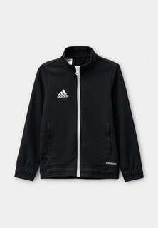 Олимпийка adidas ENT22 TK JKTY