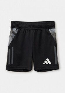 Шорты спортивные adidas TIRO24 C TRSHOY