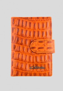 Визитница Giorgio Ferretti 