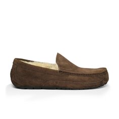 UGG Мужские мокасины Ascot Unisex