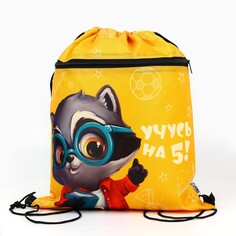 Сумка для обуви Art Fox Study
