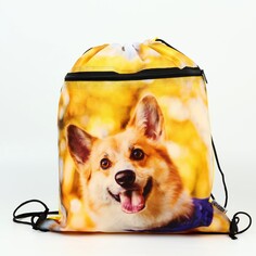 Сумка для обуви Art Fox Study