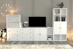 Модульная стенка Билли 1 Айден Фиеста Эко