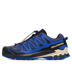 Мужские кроссовки Salomon XA Pro 3D V9 GORE-TEX®