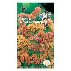 Семена Цветы, Статице, Конек-Горбунок, 0.06 г, нежно-абрикосовый, цветная упаковка, Седек