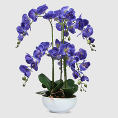 Орхидея Конэко-О 567_X6_10157 фиолетовая в белом кашпо 60 см