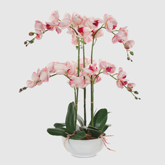 Орхидея в белом кашпо Конэко-О 556_x6_10157 60 см
