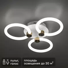 Люстра потолочная светодиодная диммируемая Ritter Ottimo 51611 2 с Алисой и пультом 66Вт 30м² 2700K-6400K цвет белый/золотой