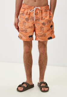 Шорты для плавания Vans PRIMARY PRINT ELASTIC BOARDSHORT