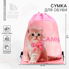 Сумка для обуви Art Fox Study