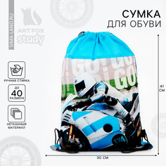 Сумка для обуви go!, нетканное полотно, размер 41х31 см Art Fox Study