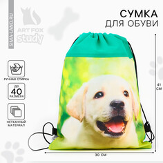 Сумка для обуви Art Fox Study