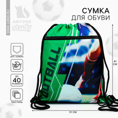 Сумка для обуви Art Fox Study