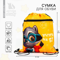 Сумка для обуви Art Fox Study