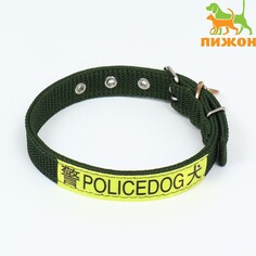 Ошейник двухслойный с вертлюгом, 3 см, зеленый Пижон