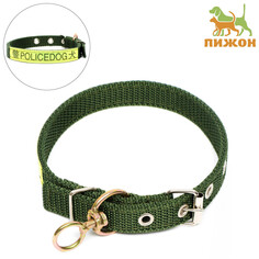 Ошейник двухслойный с вертлюгом, 2 см, зеленый Пижон