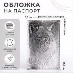 Обложка для паспорта, цвет серебряный NO Brand