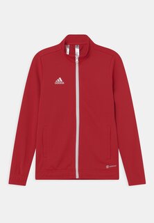 Спортивная куртка Entrada 22 Track Adidas, красный