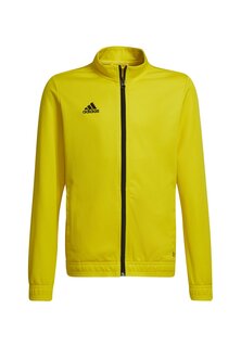 Спортивная куртка Entrada 22 Track Adidas, цвет gelbschwarz