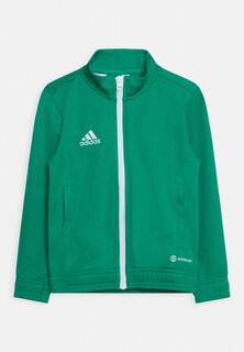 Спортивная куртка Entrada 22 Track Adidas, цвет gruenweiss