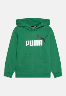 Толстовка Big Logo Hoodie Unisex Puma, цвет archive green