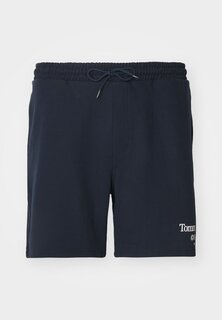 Спортивные брюки Entry Graphic Tommy Jeans, цвет dark night navy