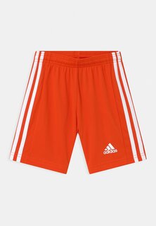 Спортивные шорты Squadra 21 Y Adidas, цвет team orange/white