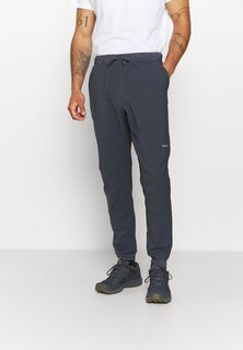 Спортивные брюки Terrebonne Joggers Patagonia, цвет smolder blue