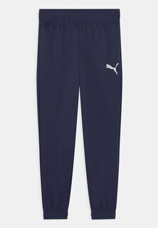 Спортивные брюки Active Pants Unisex Puma, цвет dark blue