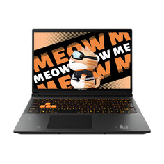 Игровой ноутбук Colorful Meow R15, 15.6&quot;, 16 ГБ/1 ТБ, R7-7735H, RTX 4050, оранжевый/черный, английская клавиатура