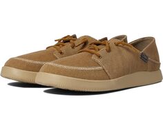 Кроссовки Chaco Chillos Sneaker, цвет Tapenade Brown
