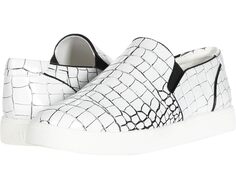 Кроссовки Circus NY by Sam Edelman Duncan, цвет White/Black