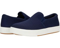 Кроссовки Steve Madden Coulter-M Sneaker, темно-синий