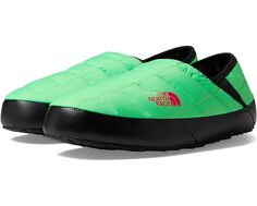 Домашняя обувь The North Face Thermoball Traction Mule V, цвет Chlorophyll Green/TNF Black