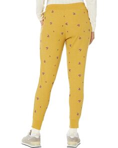 Брюки Toad&amp;Co Foothill Joggers, цвет Antler Motif Print Toad&Co