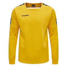Мужская толстовка для мультиспорта Hmlauthentic Training Sweat HUMMEL, цвет gelb