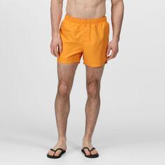 Мужские шорты для плавания Wayde - оранжевый REGATTA, цвет orange