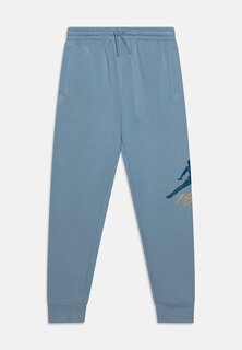 Спортивные брюки BASELINE PANT UNISEX Jordan, цвет blue grey