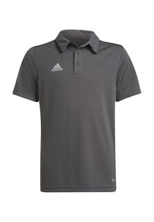 Спортивная футболка FUSSBALL TEAM ENTRA adidas Performance, цвет grau