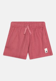 Спортивные штаны adidas Sportswear, цвет pink strata